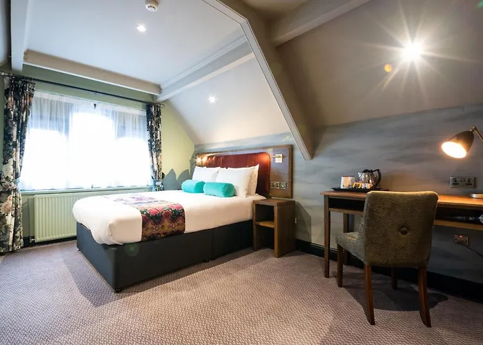 The Pine Marten By Innkeeper'S Collection